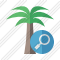 Icône Palmtree Search