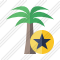 Icone Palmtree Star