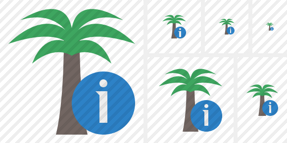 Icona Palmtree Info