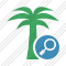Icone Palmtree Search