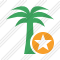 Icone Palmtree Star