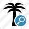 Icône Palmtree Search