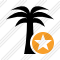 Icône Palmtree Star