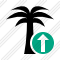 Icône Palmtree Upload