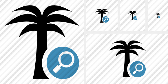 Palmtree Search Symbol