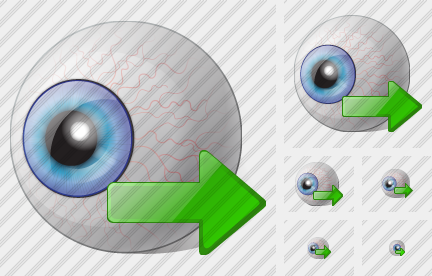 Icono Eye Export