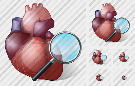 Icono Heart Search 2
