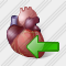 Icône Heart Import