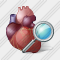 Icône Heart Search