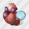 Icône Heart Search 2