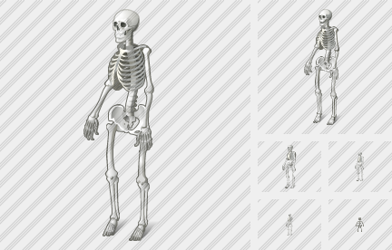Icono Skeleton