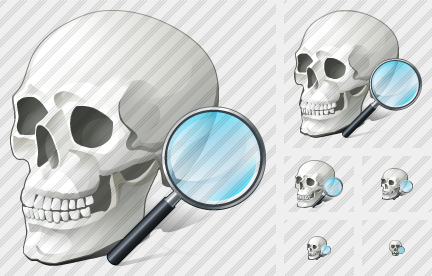 Skull Search 2 Icon