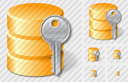 Database Key Icon