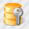 Icône Database Key