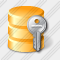 Database Key Icon