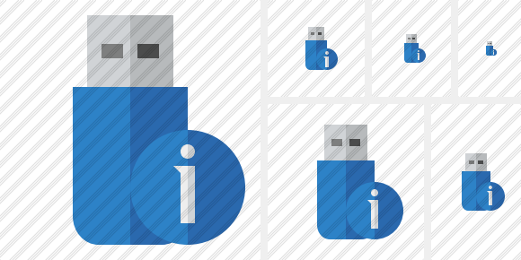 Flash Drive Information Icon Flash Drive Information Icon