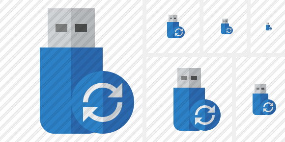 Flash Drive Refresh Icon