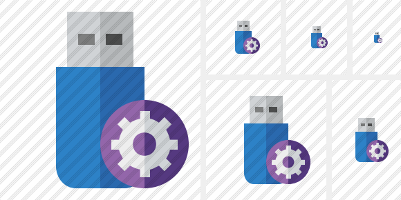 Flash Drive Settings Icon Flash Drive Settings Icon