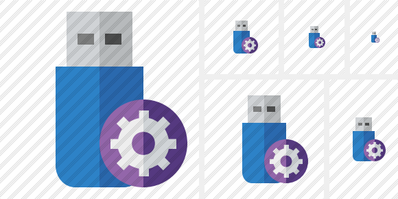 Icône Flash Drive Settings