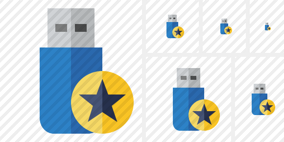 Flash Drive Star Icon Flash Drive Star Icon