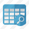 Database Table Search Icon