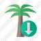 Palmtree Download Icon