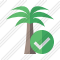 Palmtree Ok Icon