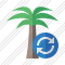 Palmtree Refresh Icon