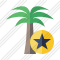 Palmtree Star Icon