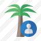 Palmtree User Icon