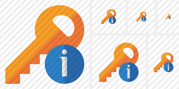 Key Information Icon Key Information Icon