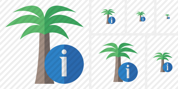 Palmtree Information Icon Palmtree Information Icon