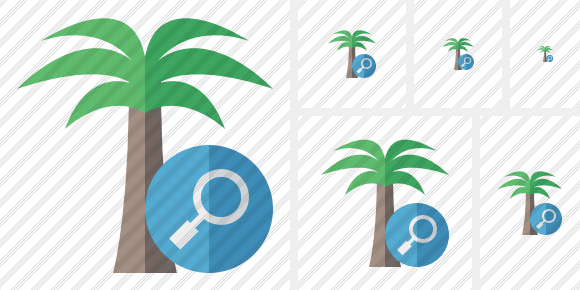 Palmtree Search Icon Palmtree Search Icon