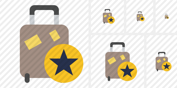 Baggage Star Symbol