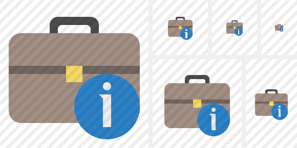 Icono Briefcase Information