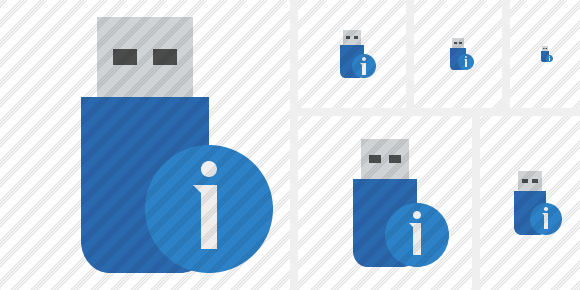 Flash Drive Information Icon