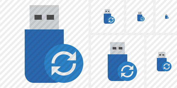 Flash Drive Refresh Symbol