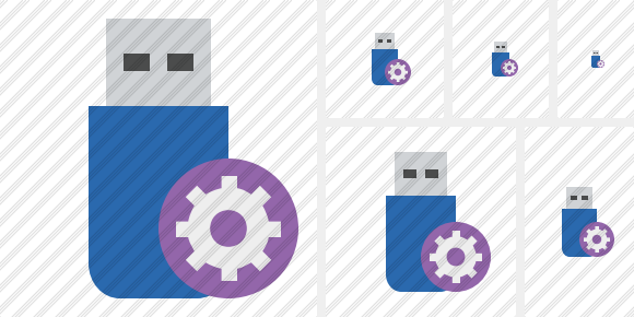 Icône Flash Drive Settings