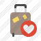 Baggage Favorites Icon