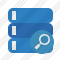 Database Search Icon