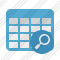 Database Table Search Icon