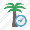 Palmtree Clock Icon