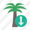 Palmtree Download Icon