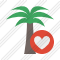 Palmtree Favorites Icon