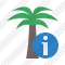 Icône Palmtree Information