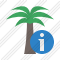 Palmtree Information Icon