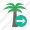 Palmtree Next Icon