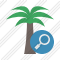 Icone Palmtree Search