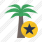 Icone Palmtree Star