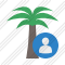 Palmtree User Icon